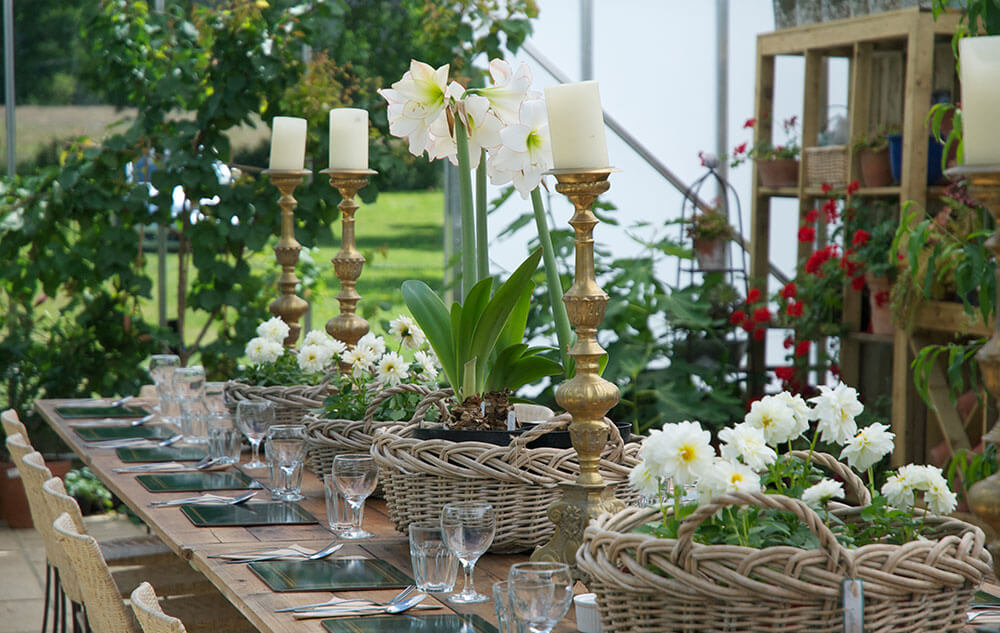 West Green House Gardens Tea Room