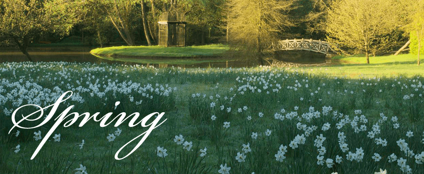 sping_header