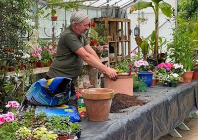 Creating Summer Pots