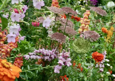 Making a Cutting Garden